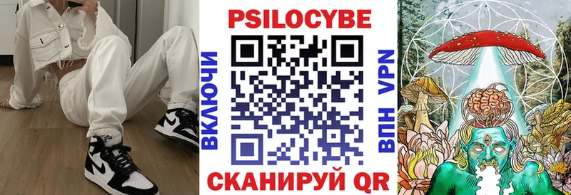Галлюциногенные грибы Cubensis  сколько стоит  Тавда 
