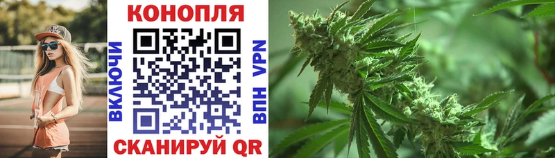 Бошки Шишки гибрид ссылка на мегу онион Тавда